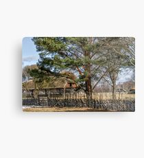 Old building Metal Print