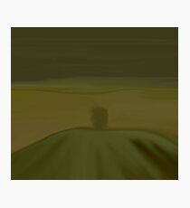 The Lone Tree Photographic Print