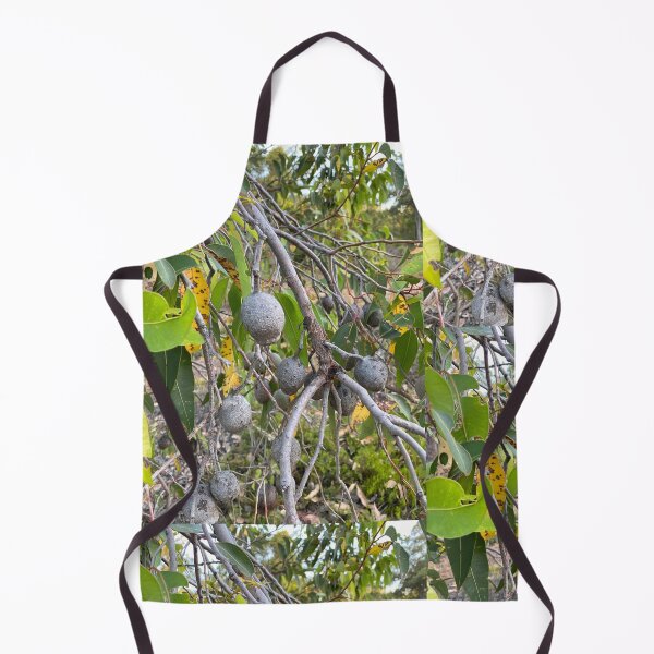 Item preview, Eacalyptus, gum nuts designed and sold by Lanie B Meyer.