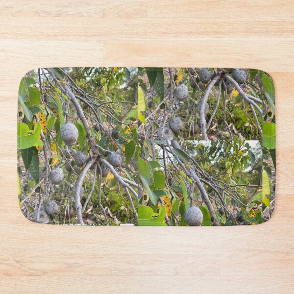 Item preview, Eacalyptus, gum nuts  designed and sold by Lanie B Meyer.
