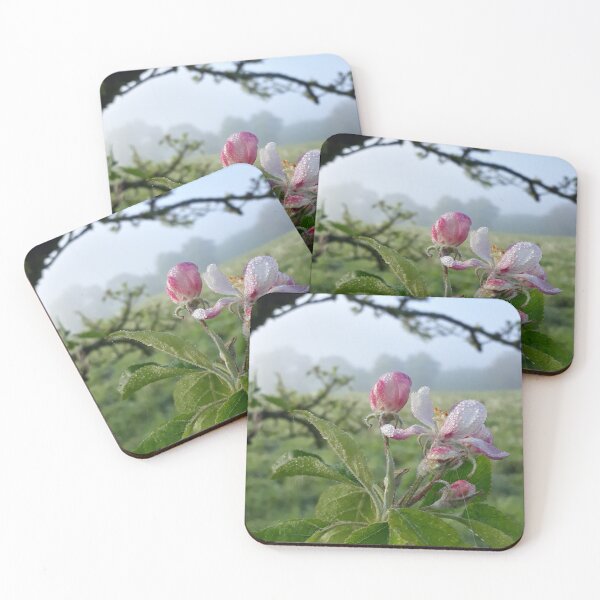 Item preview, Apple Bloom designed and sold by Polaris14.