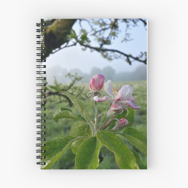 Item preview, Apple Bloom designed and sold by Polaris14.
