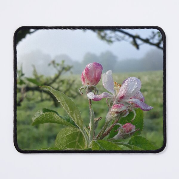 Item preview, Apple Bloom designed and sold by Polaris14.
