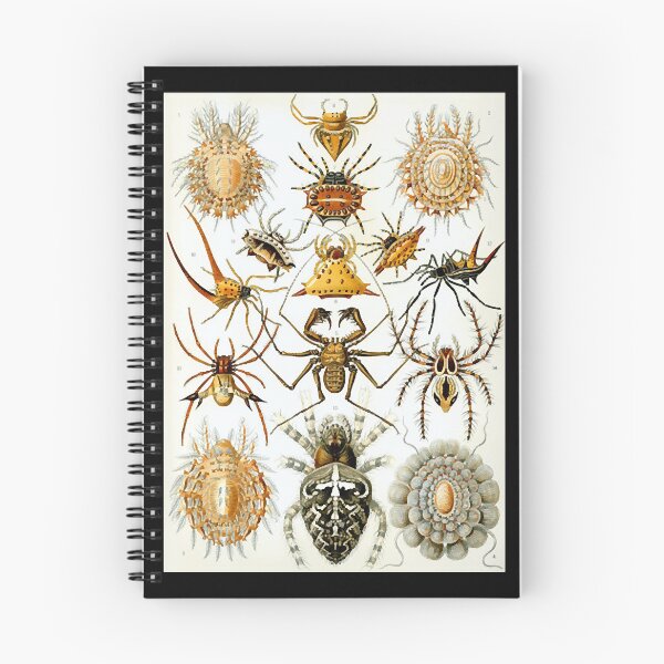 Artikelvorschau, Spinnentiere von Ernst Haeckel entworfen und verkauft von RobertMye93066.