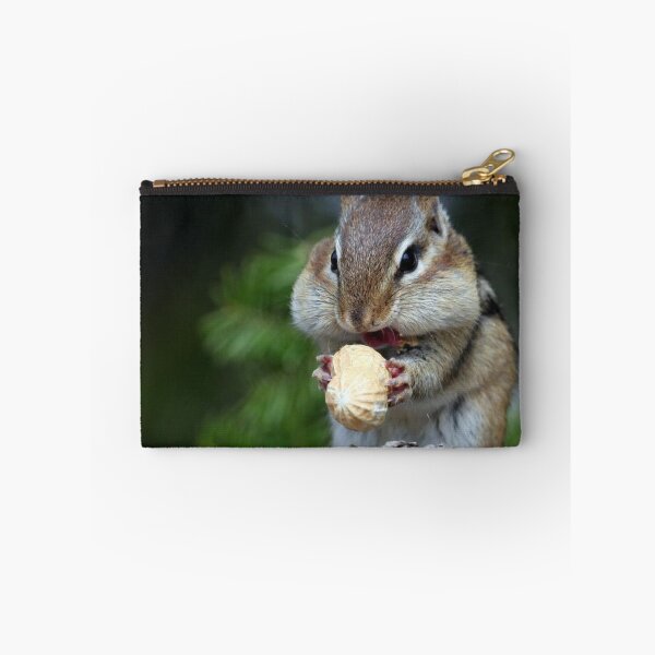 Artikelvorschau, Chipmunks Erdnüsse entworfen und verkauft von Gautchh.