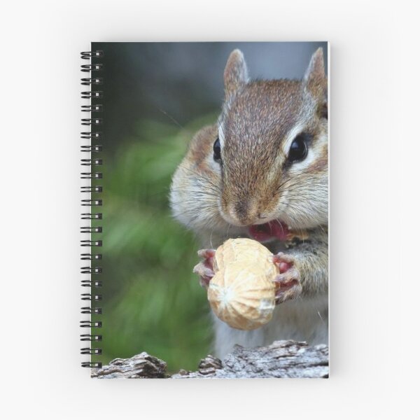 Artikelvorschau, Chipmunks Erdnüsse entworfen und verkauft von Gautchh.