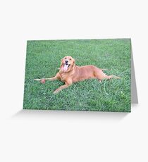 Engagement Puppy Greeting Card