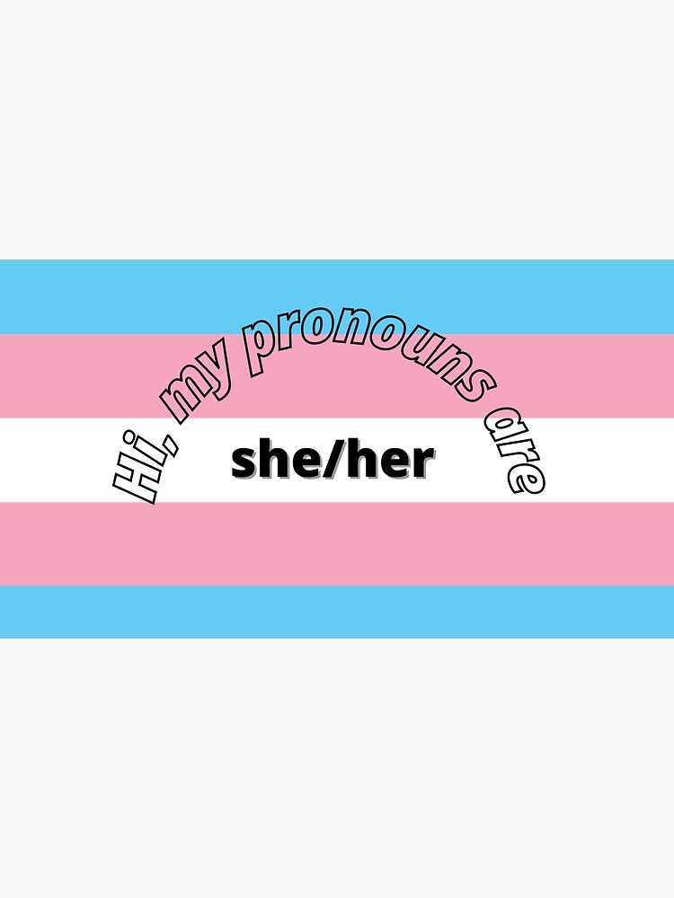 Hi My Pronouns Are Sheher Sticker By Zimmysarts Redbubble 8567