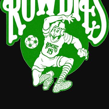 Vtg NASL Tampa Bay Rowdies T Shirt XS 