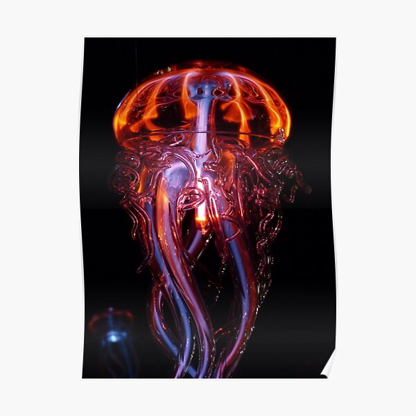Jellyfish Poster