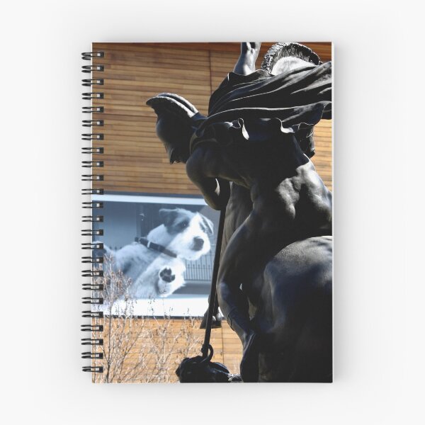 Item preview, Spectator sport i (2010) designed and sold by broocee.