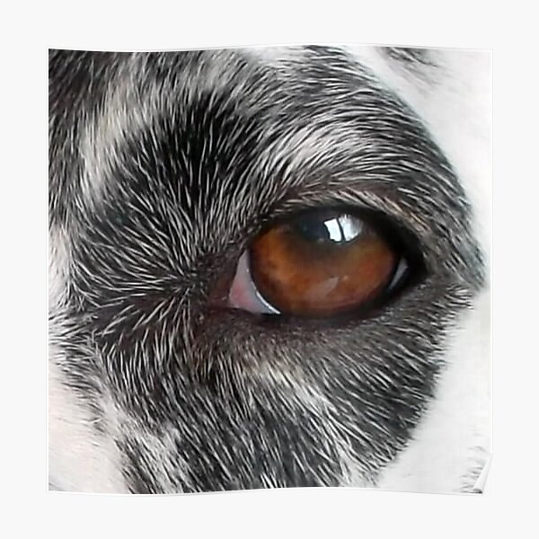 I SEE YOU Poster