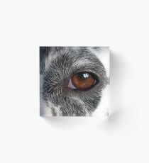 I SEE YOU Acrylic Block