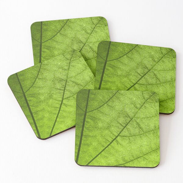 Item preview, leaf close-up designed and sold by Bunchable.
