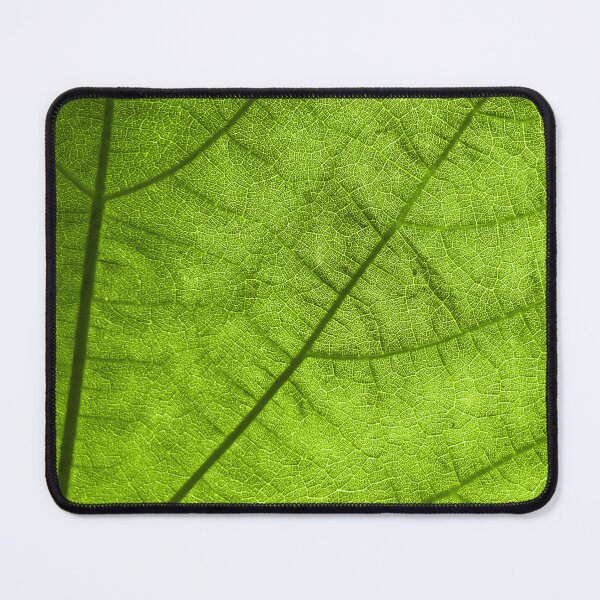 Item preview, leaf close-up designed and sold by Bunchable.