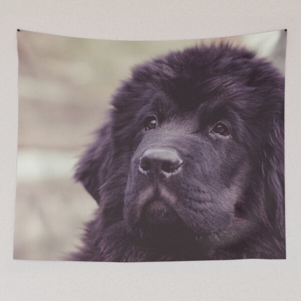 Item preview, Newfoundland dog designed and sold by pixeldizajn.