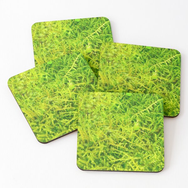 Item preview, Moss close-up designed and sold by Bunchable.