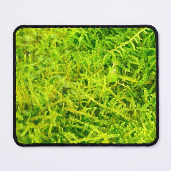 Item preview, Moss close-up designed and sold by Bunchable.