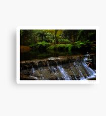 Donnelly's Weir Canvas Print