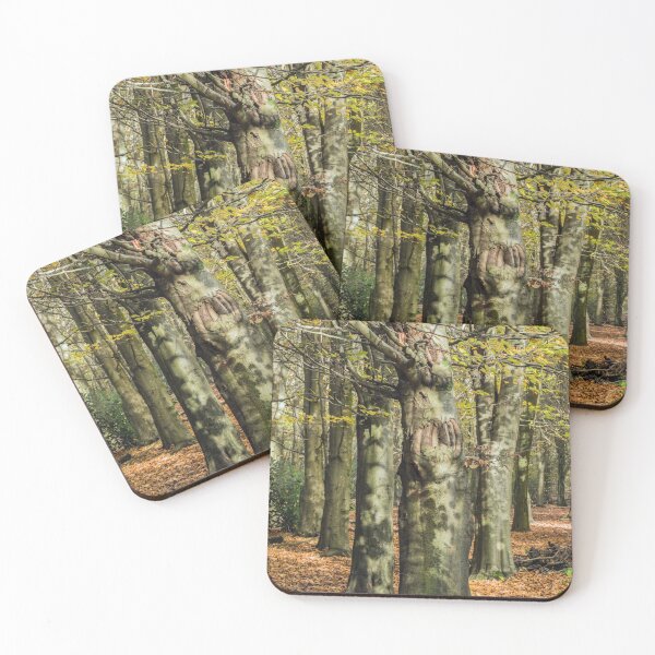 Item preview, Autumn Beech Trees designed and sold by Cameranick.