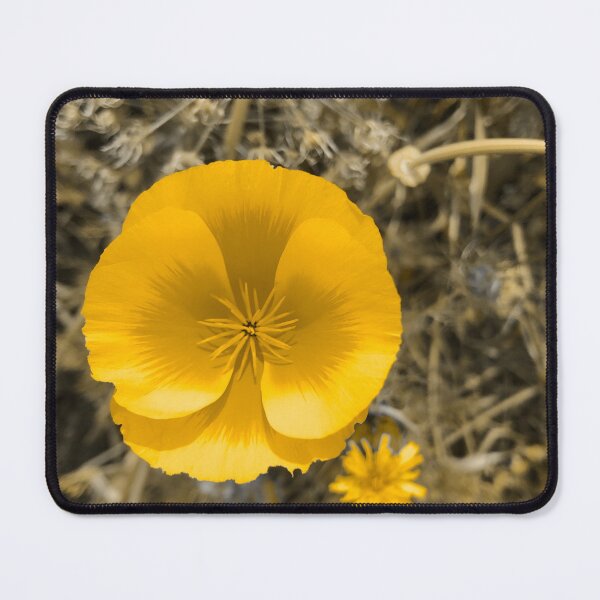 Item preview, Pansy designed and sold by Bunchable.