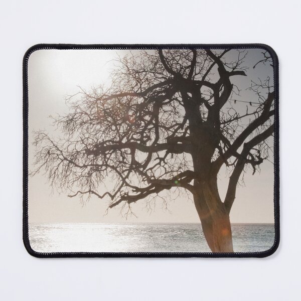 Item preview, Tree at Caribbean Beach #1 #wall #art designed and sold by Anita's & Bella's Art.