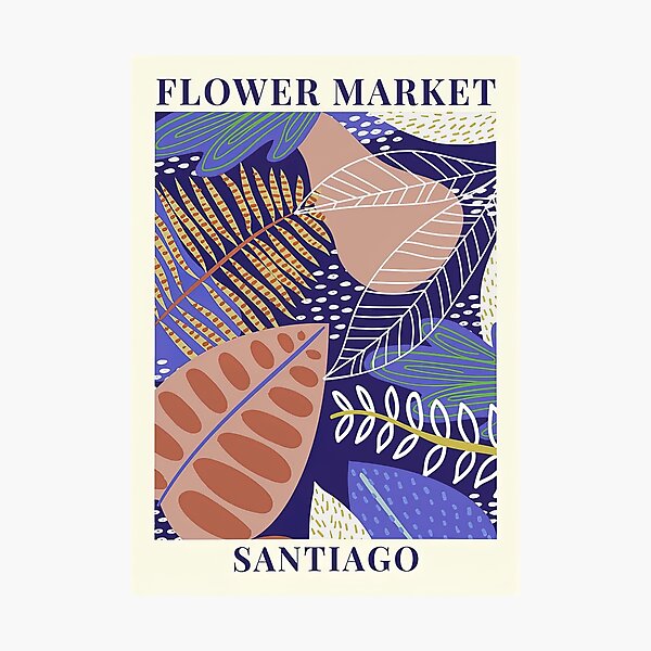 Santiago Flower Market Photographic Print