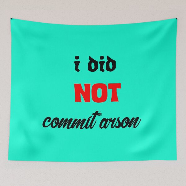 Item preview, I did not commit arson designed and sold by Havilaharts.
