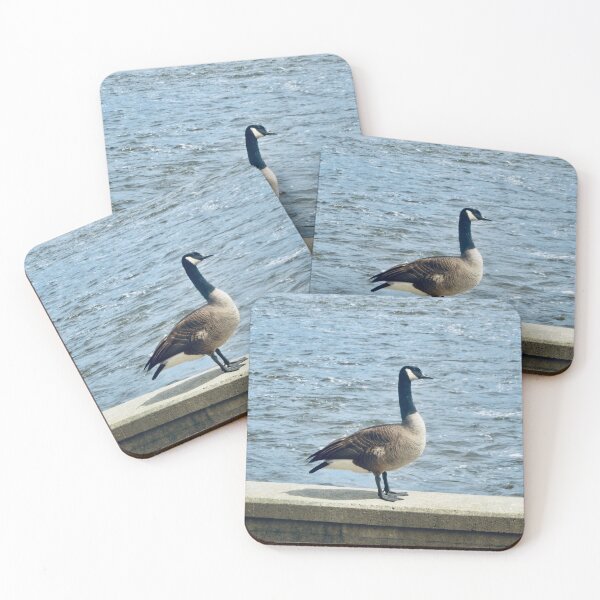 Item preview, Handsome Bird designed and sold by Shulie1.