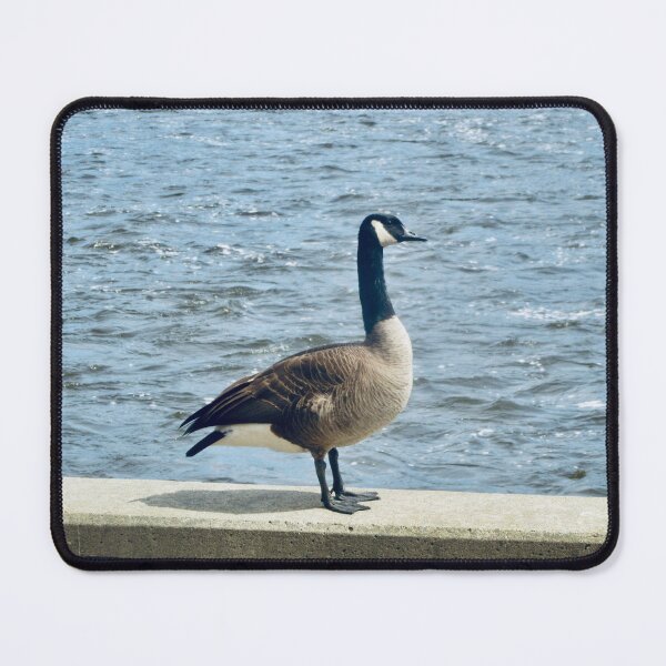 Item preview, Handsome Bird designed and sold by Shulie1.