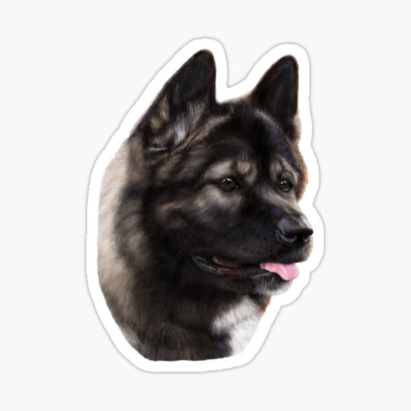 Portrait of American Akita Enya Sticker