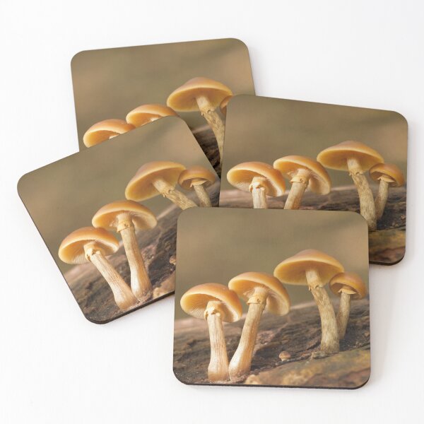 Item preview, Toadstools at Forest Farm Nature Reserve Cardiff designed and sold by Cameranick.
