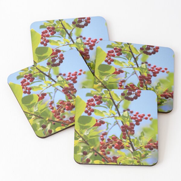 Item preview, Wild Berries designed and sold by LyssaBunni.