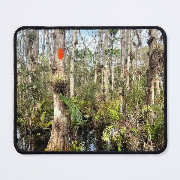 Item preview, Cypress Forest designed and sold by Jason Tompkins.