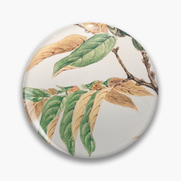 Item preview, Traditional Japanese tree, shi - Antique Botanical Illustration designed and sold by FrostMintStudio.