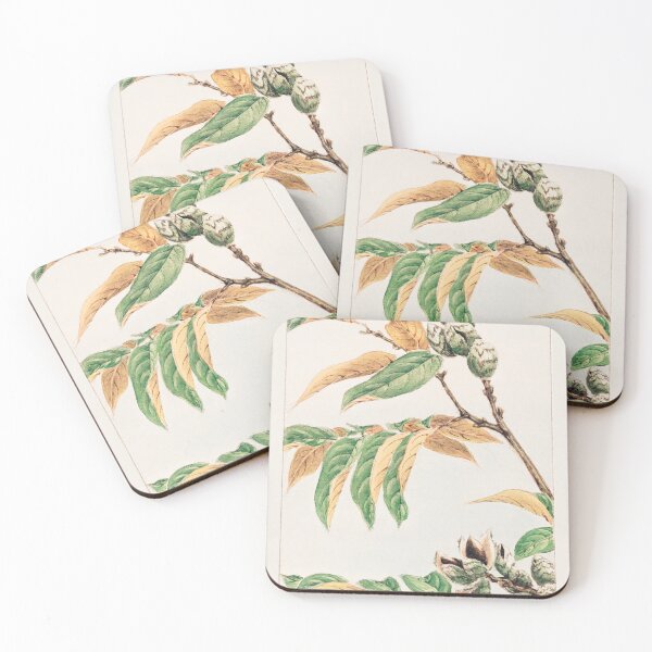 Item preview, Traditional Japanese tree, shi - Antique Botanical Illustration designed and sold by FrostMintStudio.