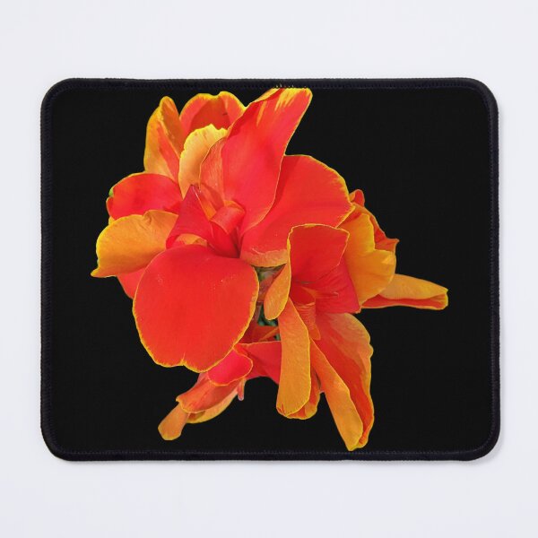 Item preview, Rosemond Cole Canna on Black designed and sold by Shapes-Mania.