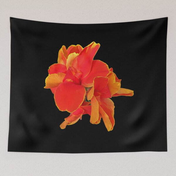 Item preview, Rosemond Cole Canna on Black designed and sold by Shapes-Mania.