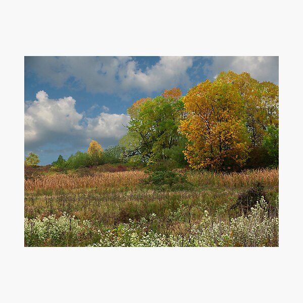 Item preview, The look of fall designed and sold by marts1.
