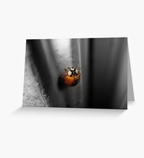 Lady Greeting Card
