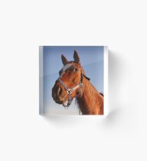 Sophie Acrylic Block