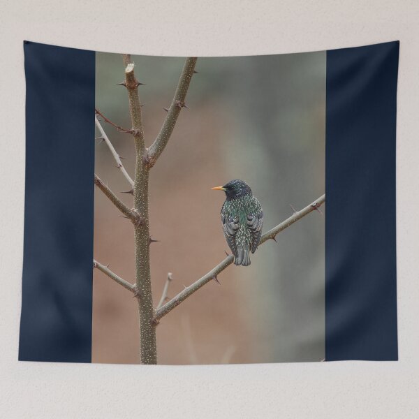 Item preview, Spectacular Starling designed and sold by LisaNaturePhoto.