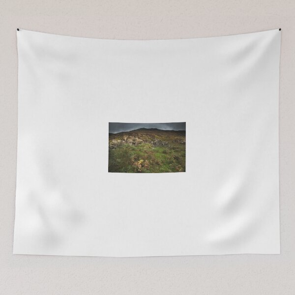 Item preview, An old derelcit  cottage in Snowdonia. designed and sold by eddiej.