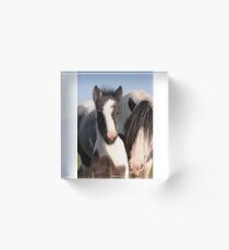 Mare & Foal Acrylic Block