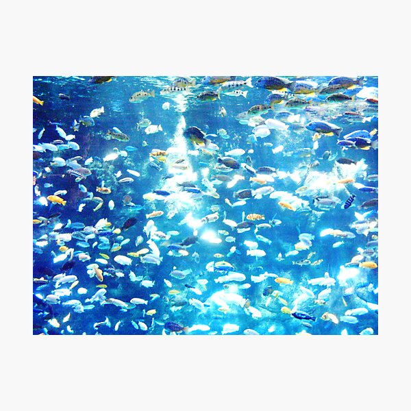 Item preview, Lake Malawi designed and sold by dabak.