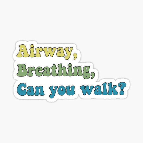 Item preview, Airway, Breathing, Can you walk?  designed and sold by SLP-OEC.