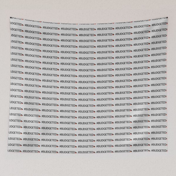Item preview, #Budget4Dzny! designed and sold by urithirugates.