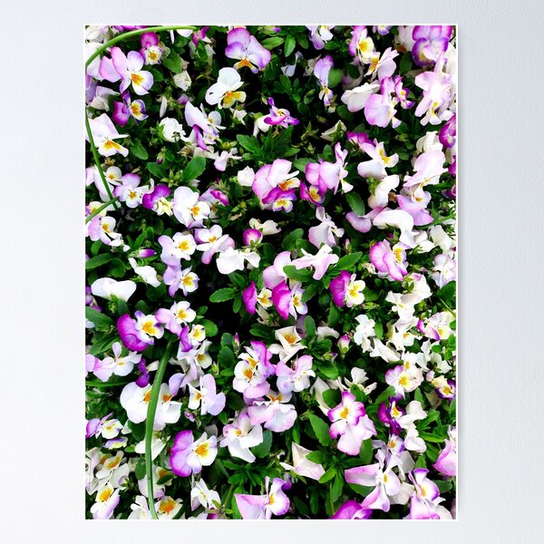 Item preview, Something Special designed and sold by Dreammkd.
