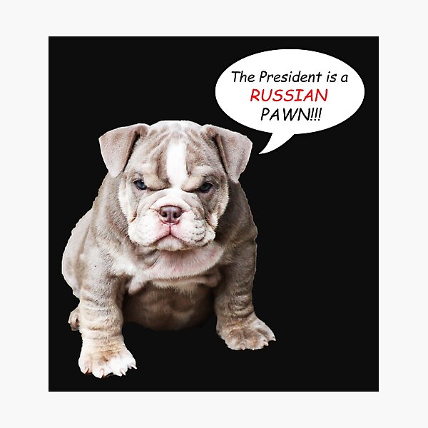 Item preview, POTUS is a Russian Pawn designed and sold by Thelittlelord.