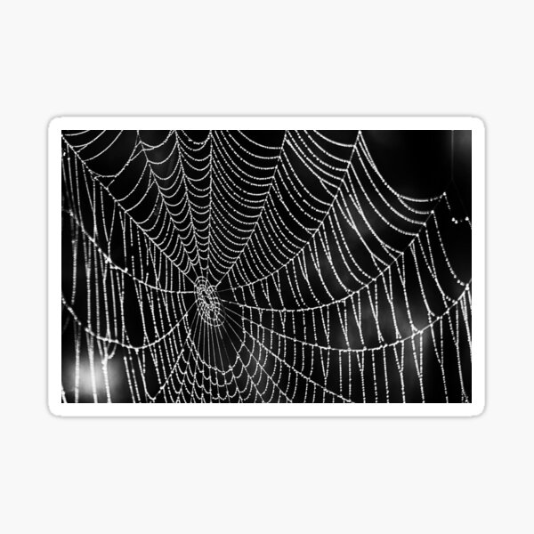 Item preview, Spider Web Dew designed and sold by PuriHigure.